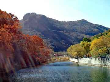 2004新澳门天天开好彩，油饺机